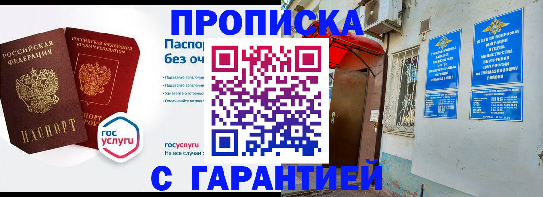 прописка законно в Светлогорске