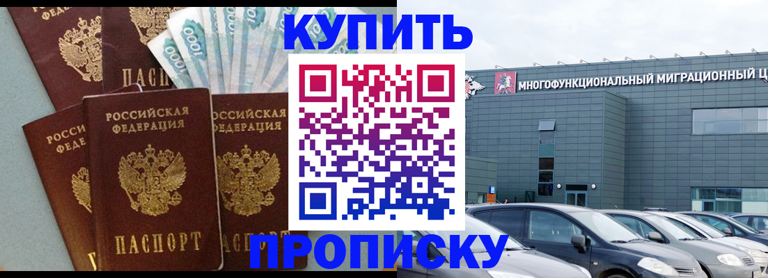 прописка штамп в Светлогорске